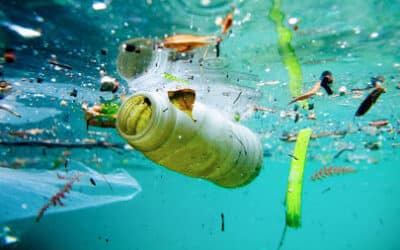Milieubeweging vraagt regering De Croo om krachtige maatregelen tegen plastic vervuiling 